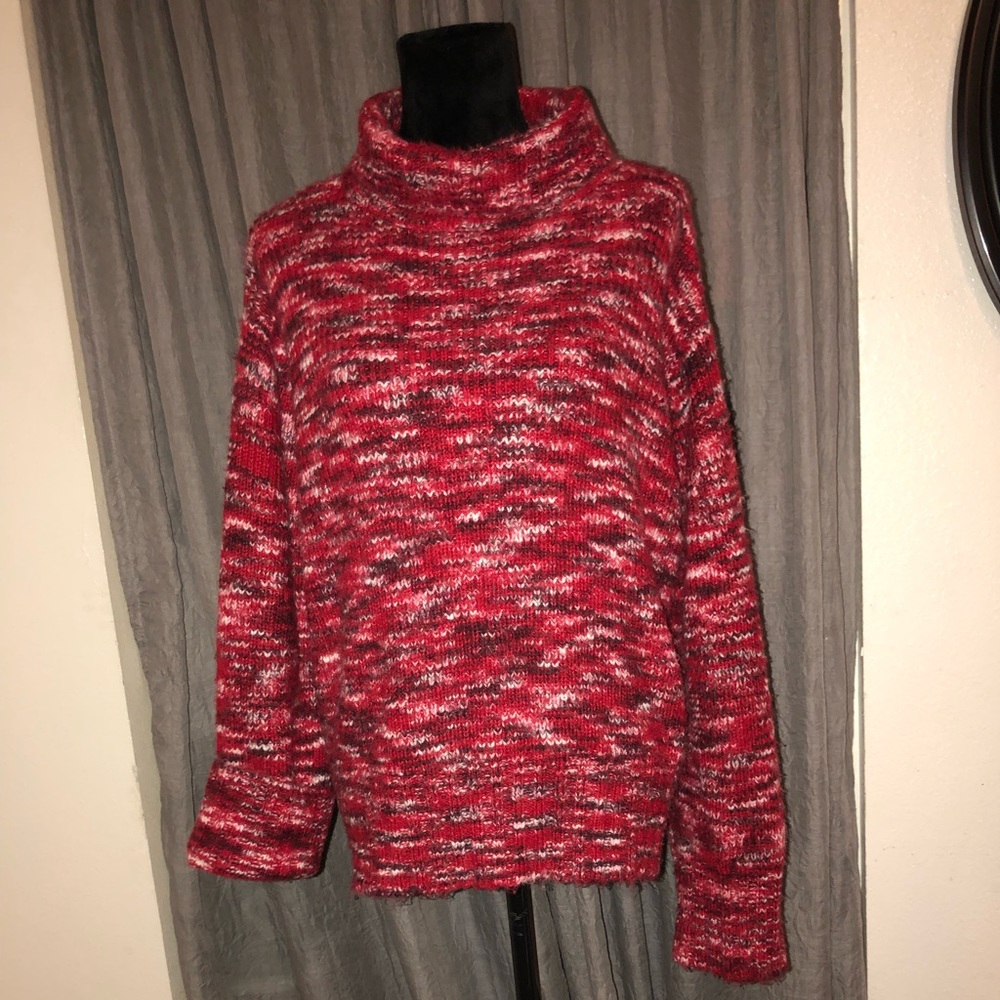 Venezia/Lane Bryant sweater